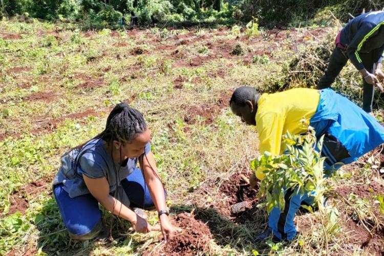 Academic ICT taking part in Tree planting June 2025